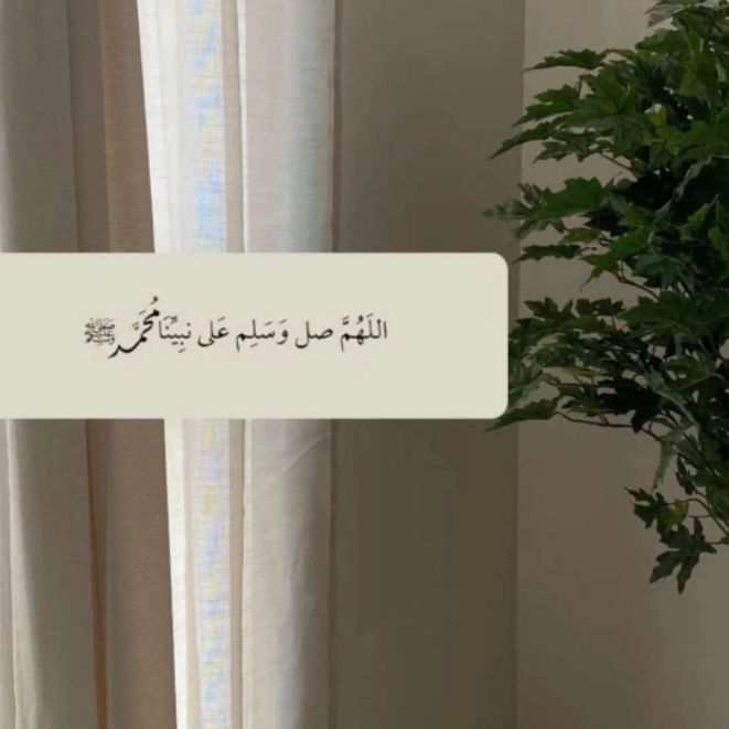 aseel essa abdulqader abdulrahman